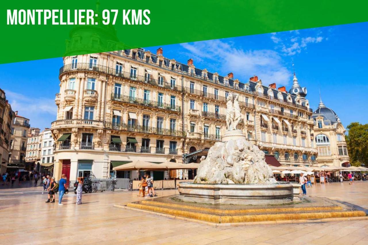 Au Roi Rene - Ac Clim - Wifi Apartment Avignon Ngoại thất bức ảnh