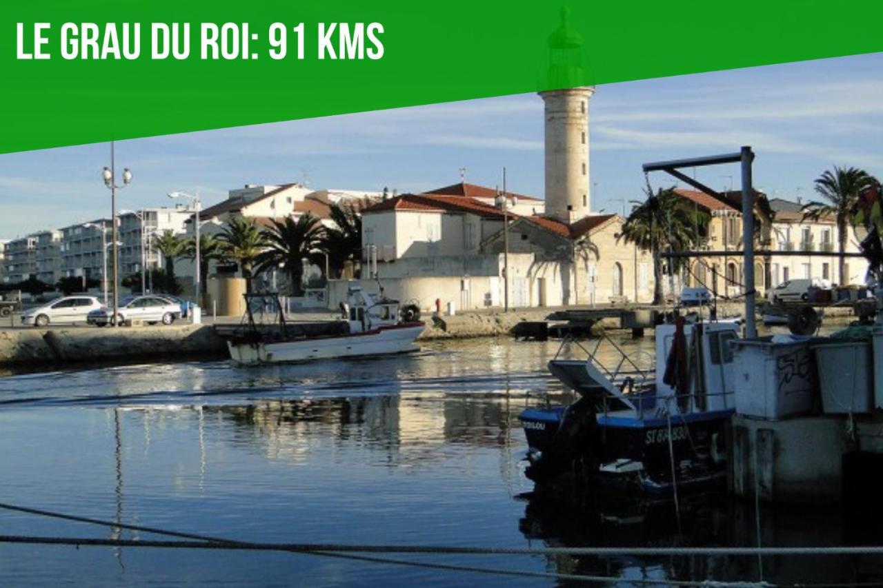 Au Roi Rene - Ac Clim - Wifi Apartment Avignon Ngoại thất bức ảnh